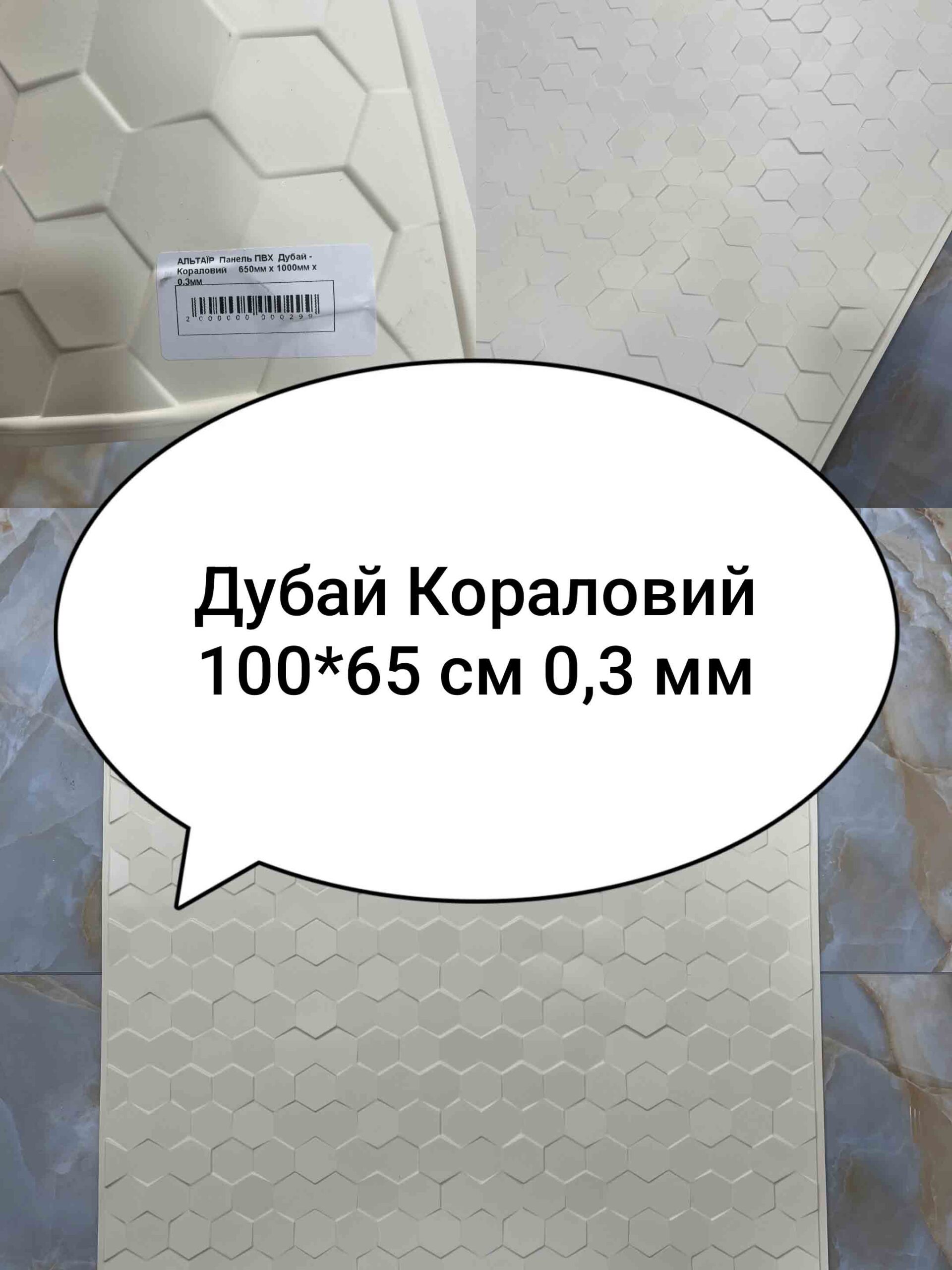 Img 20240623 094758