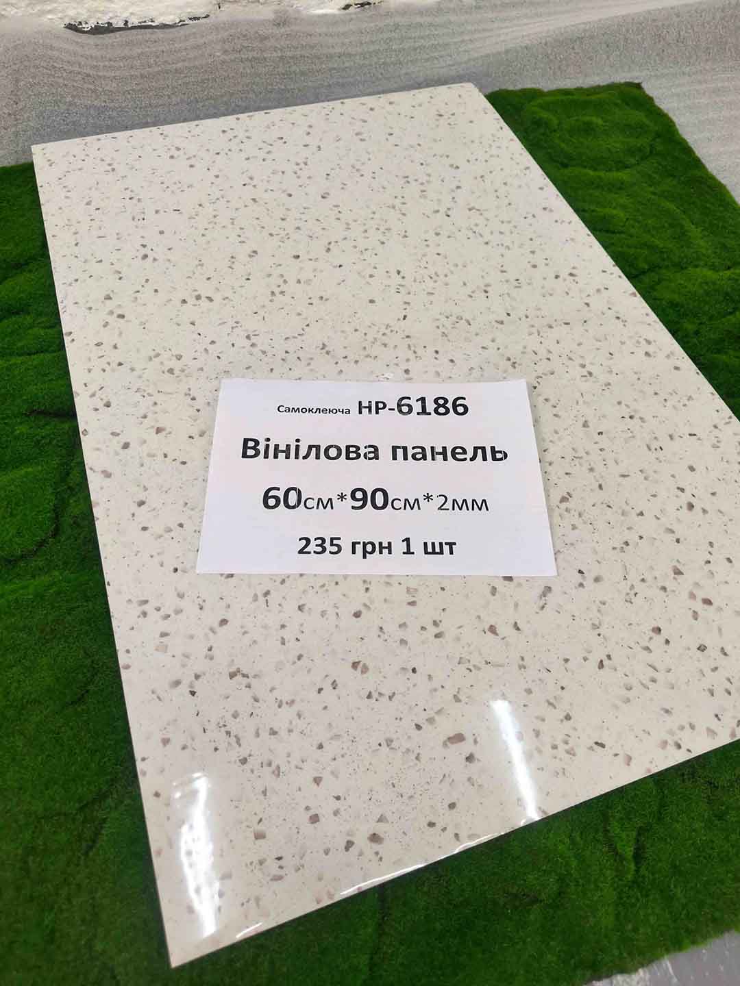 Img 20240726 145658