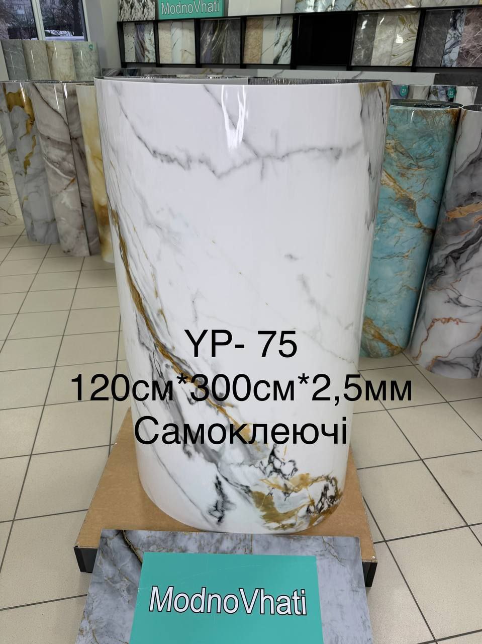 Photo 10 2026 01 10 09 54 48