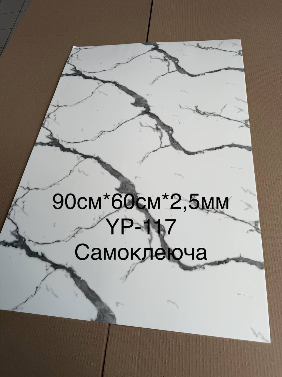 Photo 1 2026 01 10 09 55 17